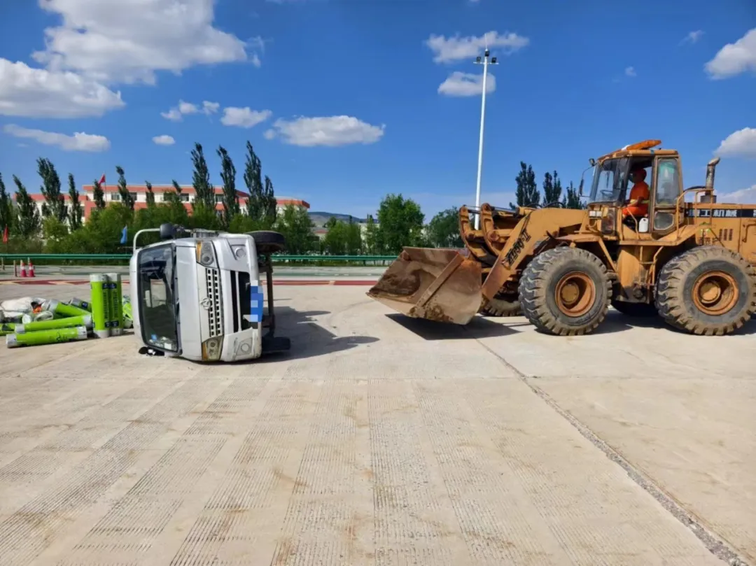 女人与公狍交酡女免费