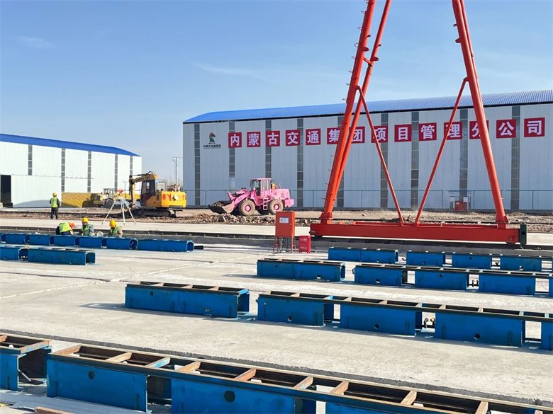 女人与公狍交酡女免费