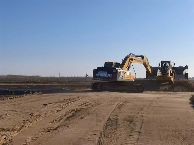 女人与公狍交酡女免费