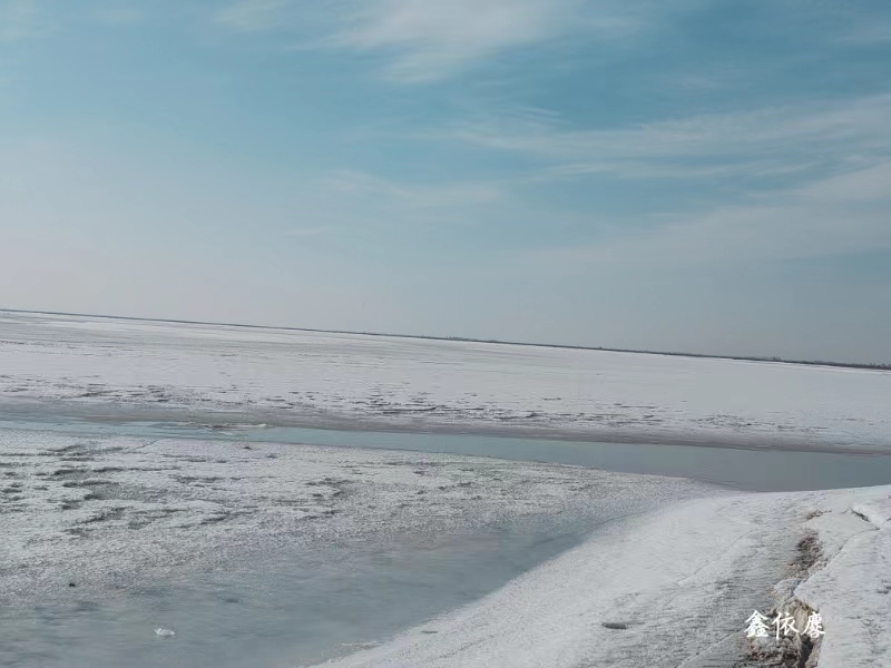 女人与公狍交酡女免费