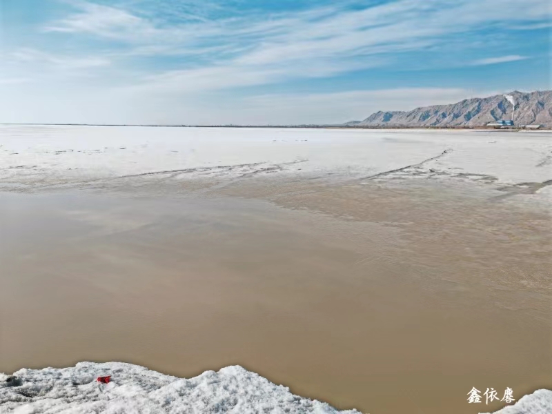 女人与公狍交酡女免费