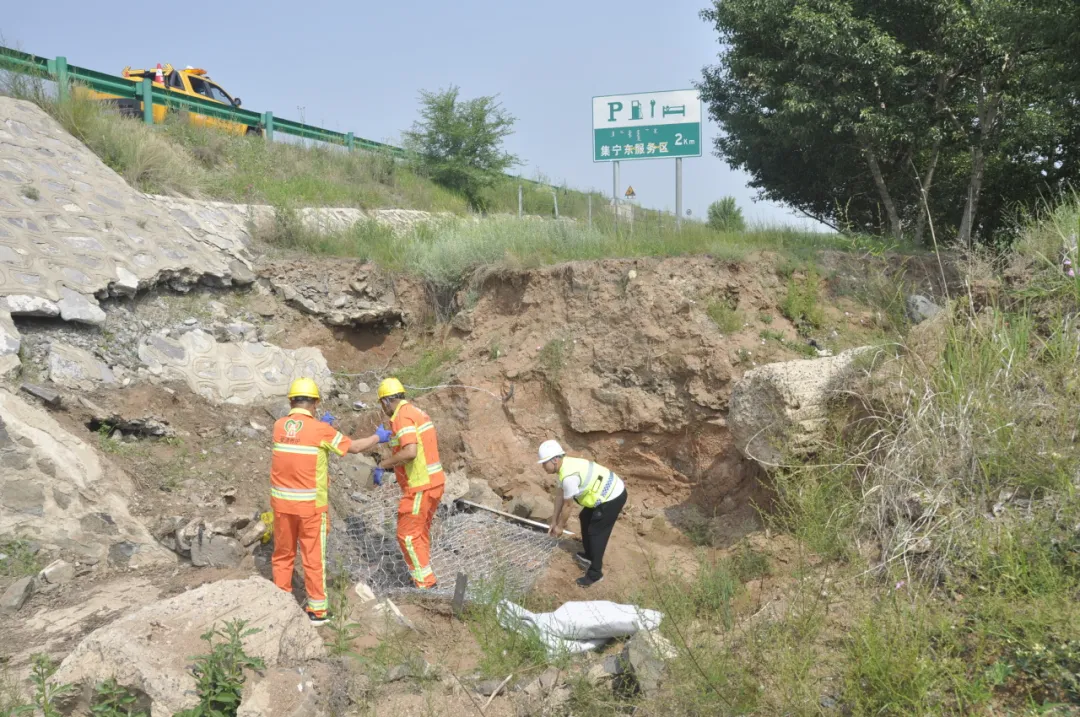 女人与公狍交酡女免费