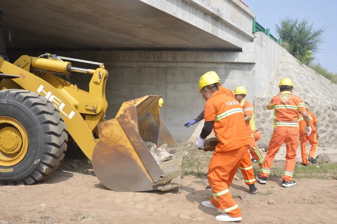 女人与公狍交酡女免费