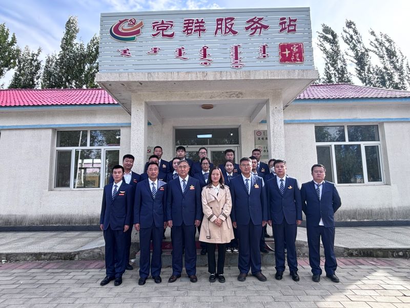 女人与公狍交酡女免费