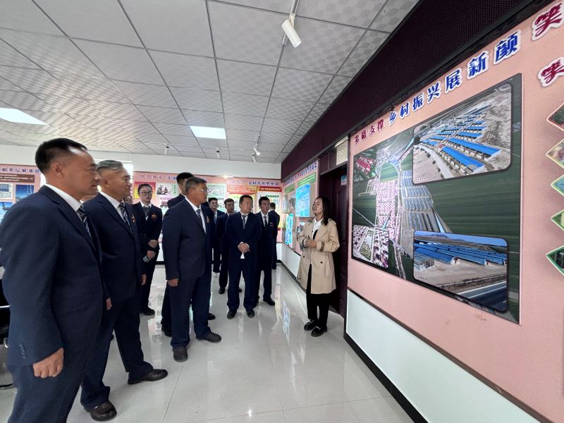 女人与公狍交酡女免费