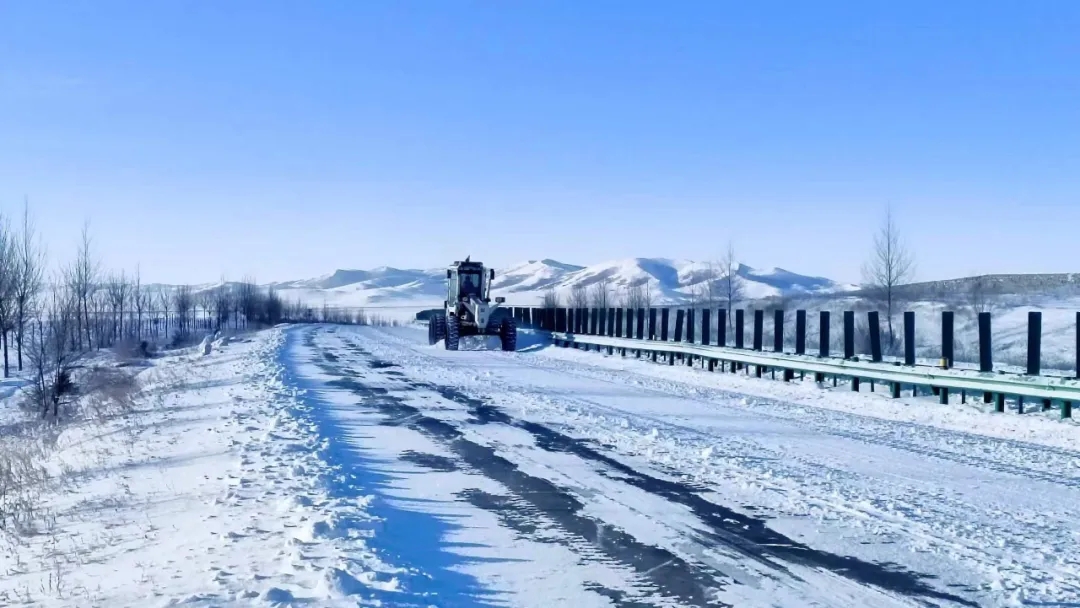 女人与公狍交酡女免费