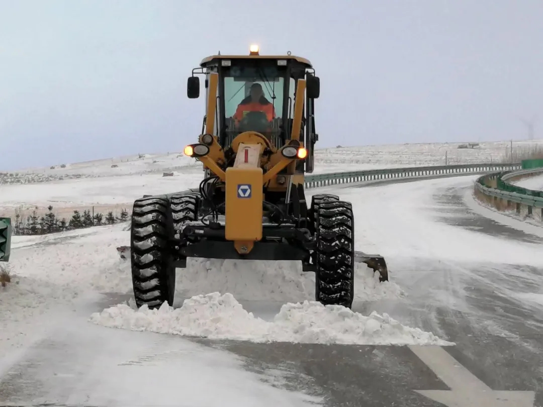 女人与公狍交酡女免费