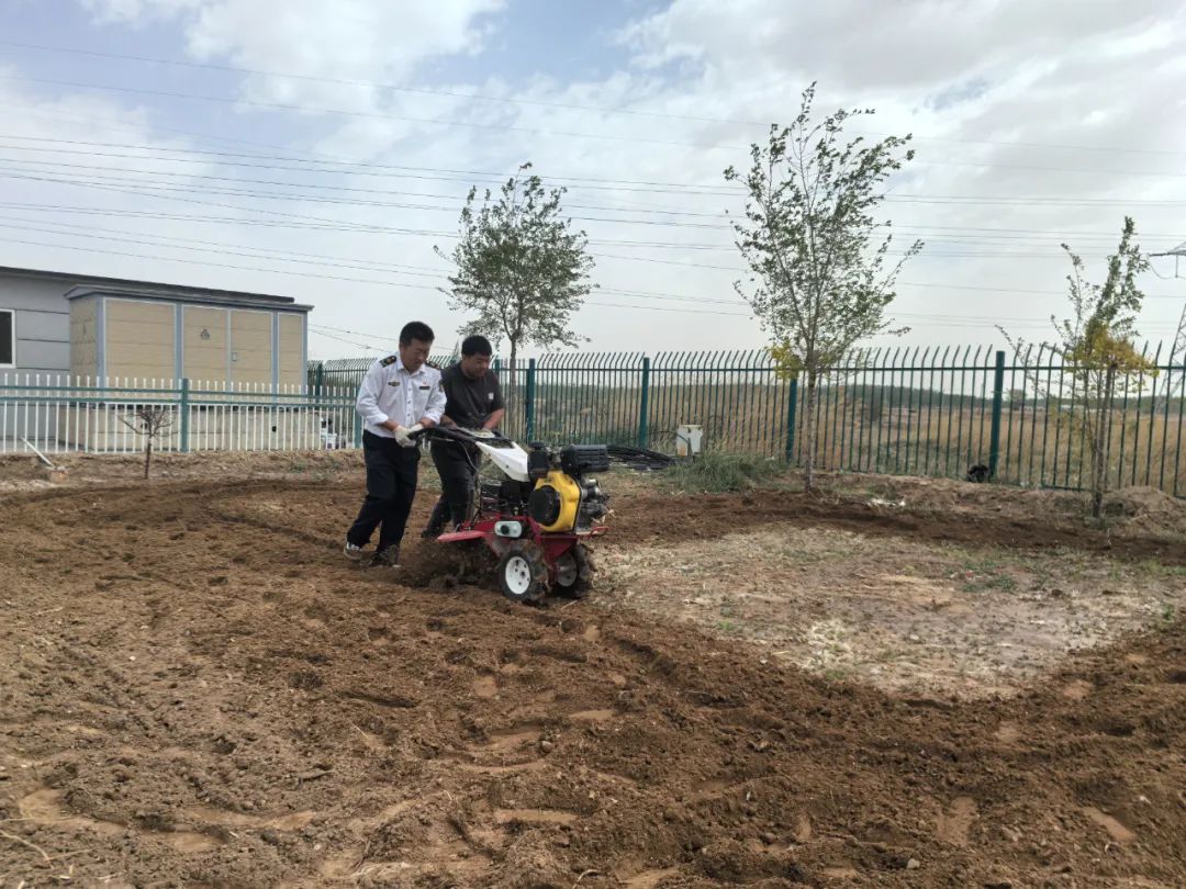 女人与公狍交酡女免费