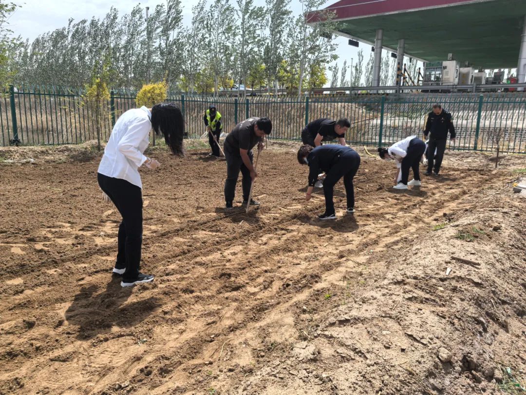 女人与公狍交酡女免费