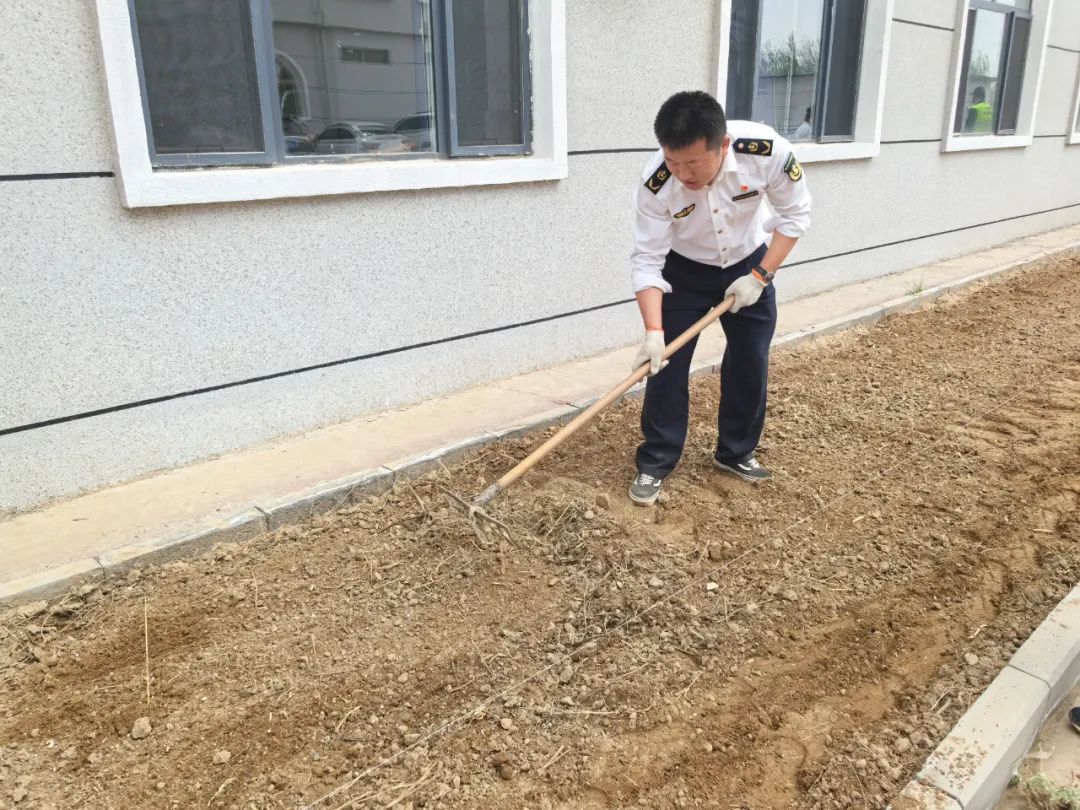 女人与公狍交酡女免费