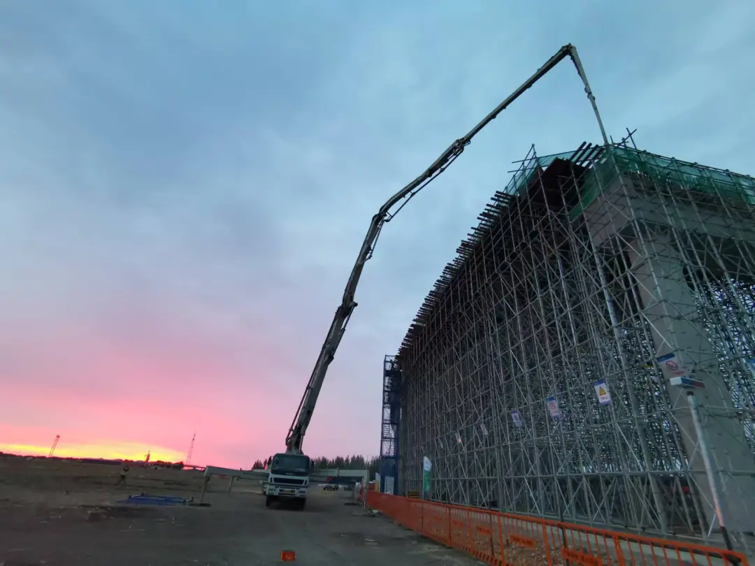 女人与公狍交酡女免费