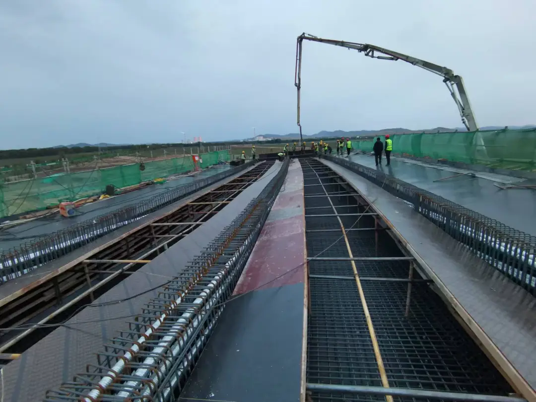 女人与公狍交酡女免费