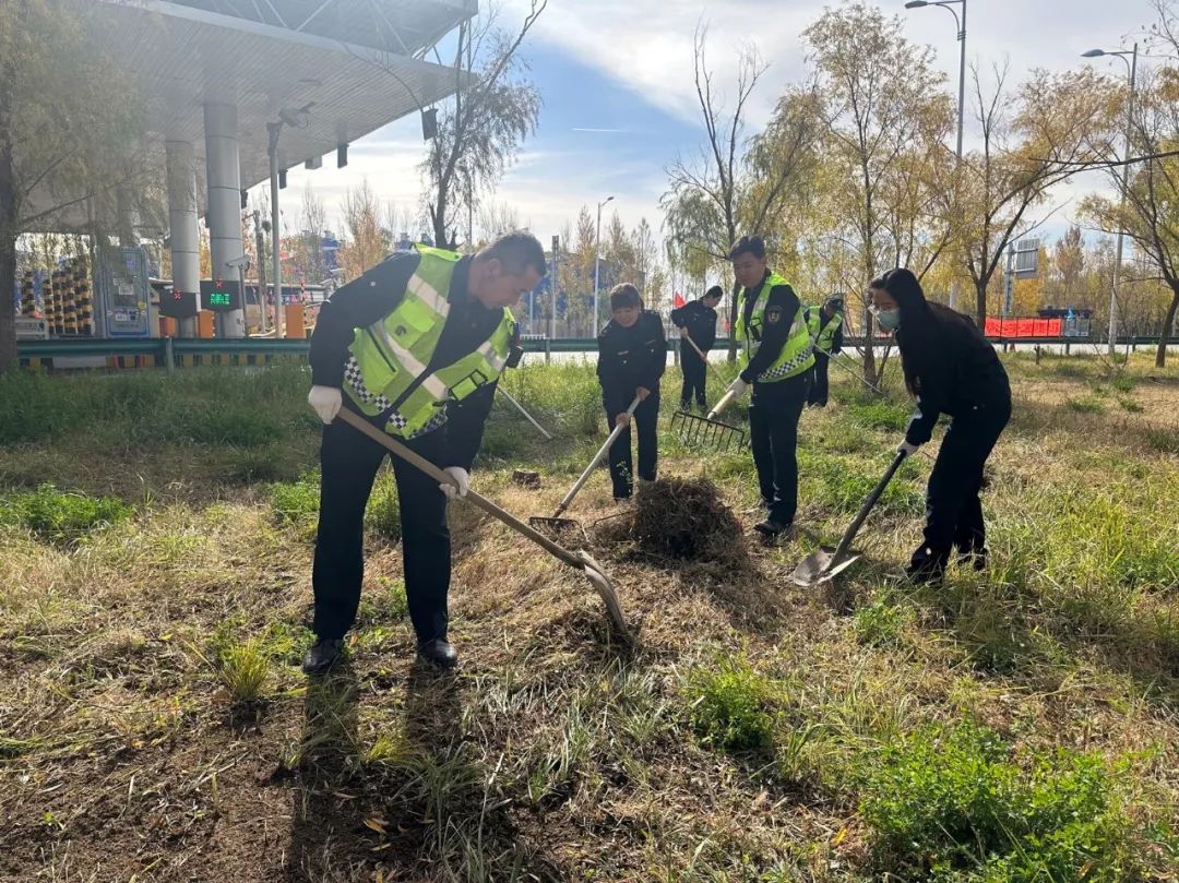 女人与公狍交酡女免费