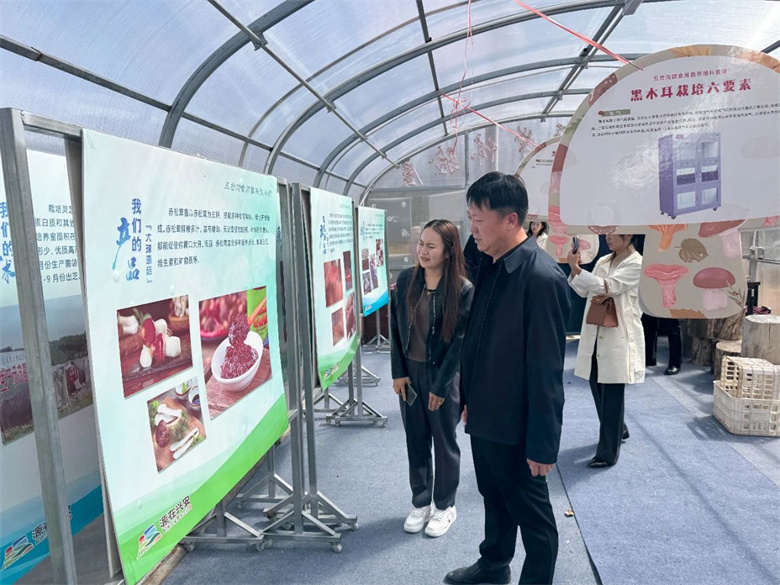 女人与公狍交酡女免费