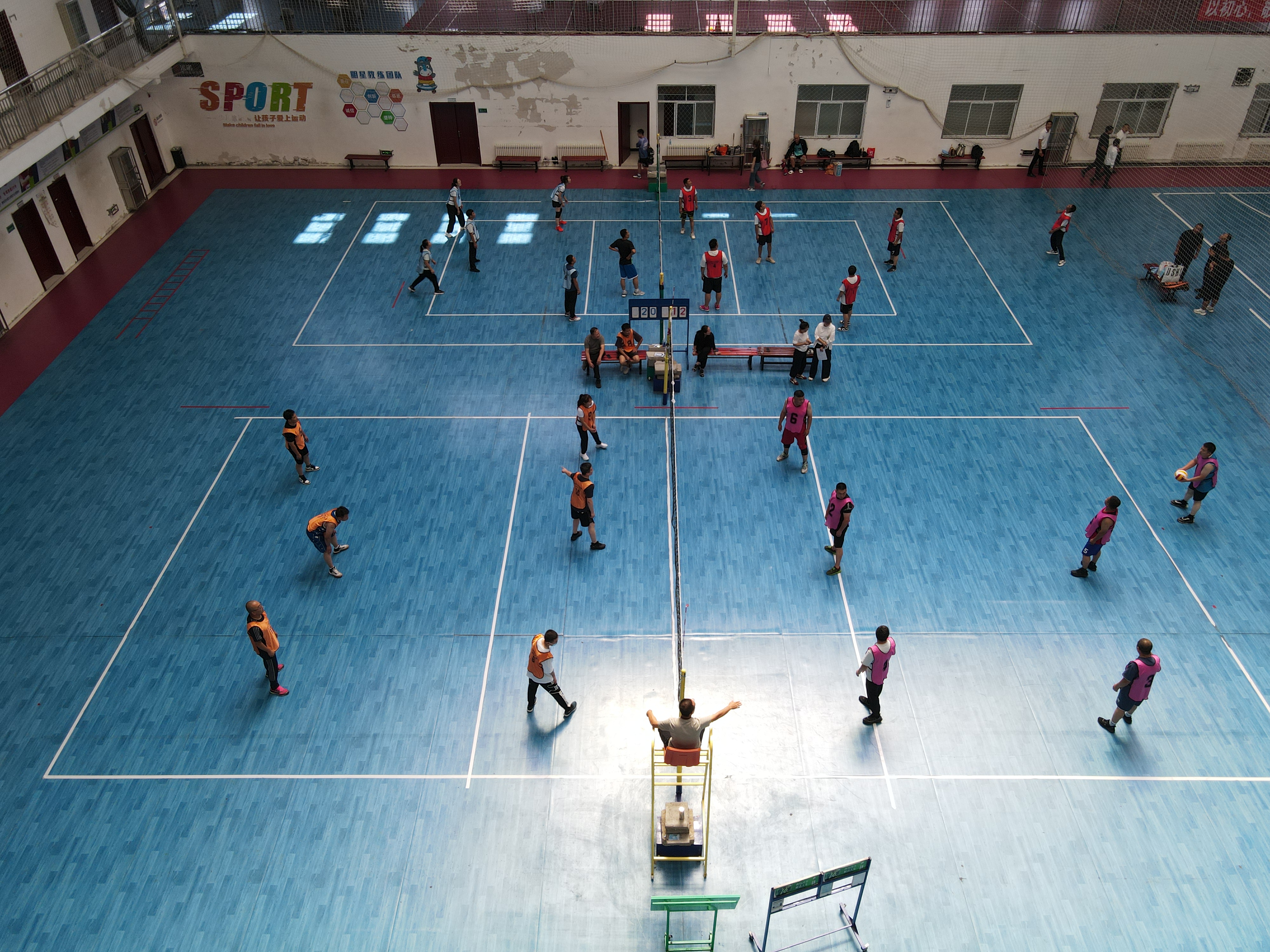 女人与公狍交酡女免费