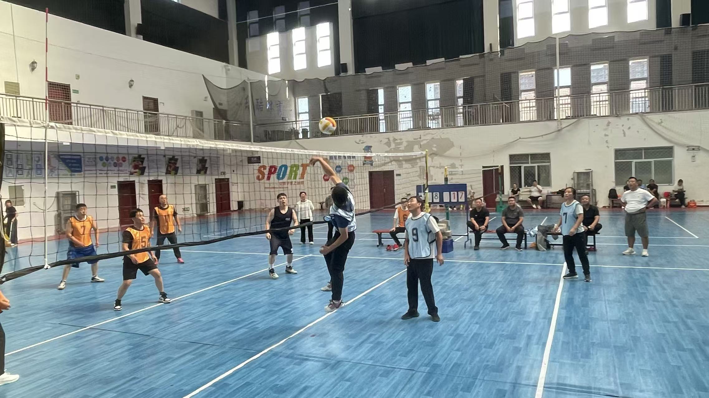 女人与公狍交酡女免费