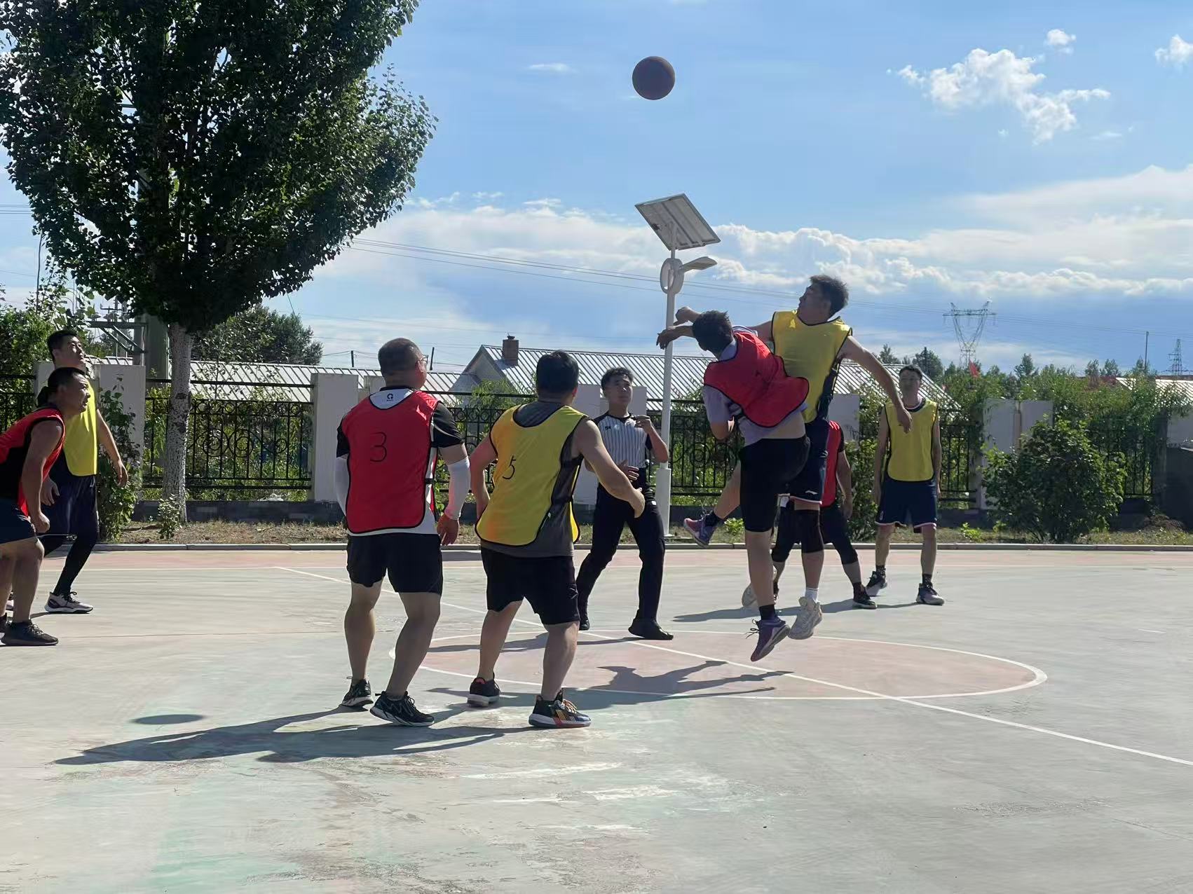 女人与公狍交酡女免费