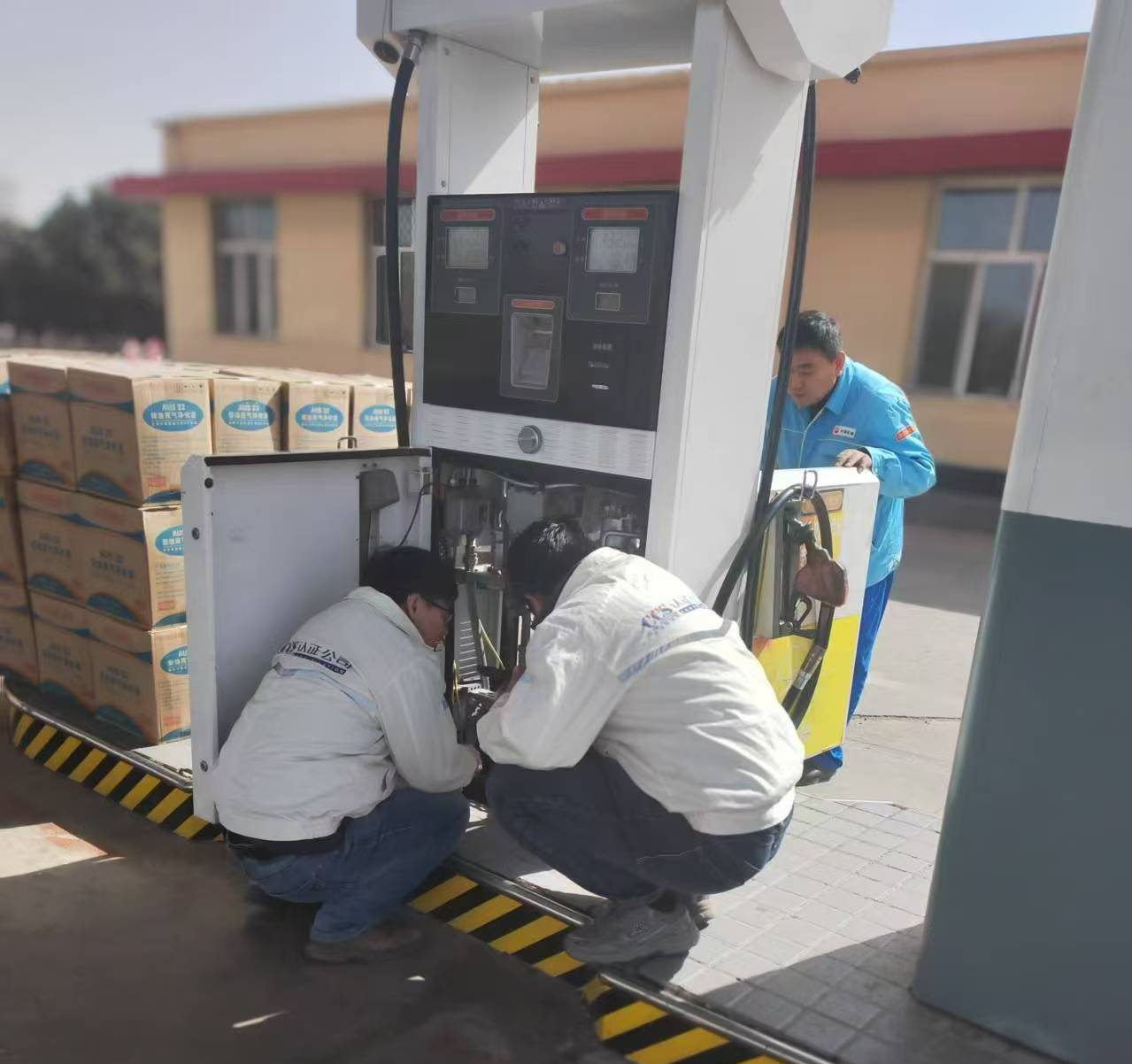 女人与公狍交酡女免费