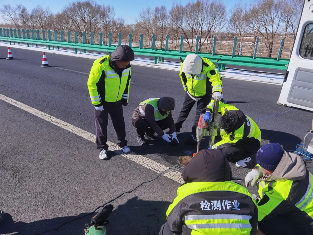 女人与公狍交酡女免费
