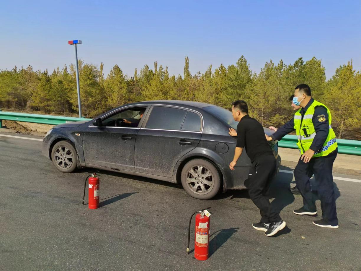 女人与公狍交酡女免费