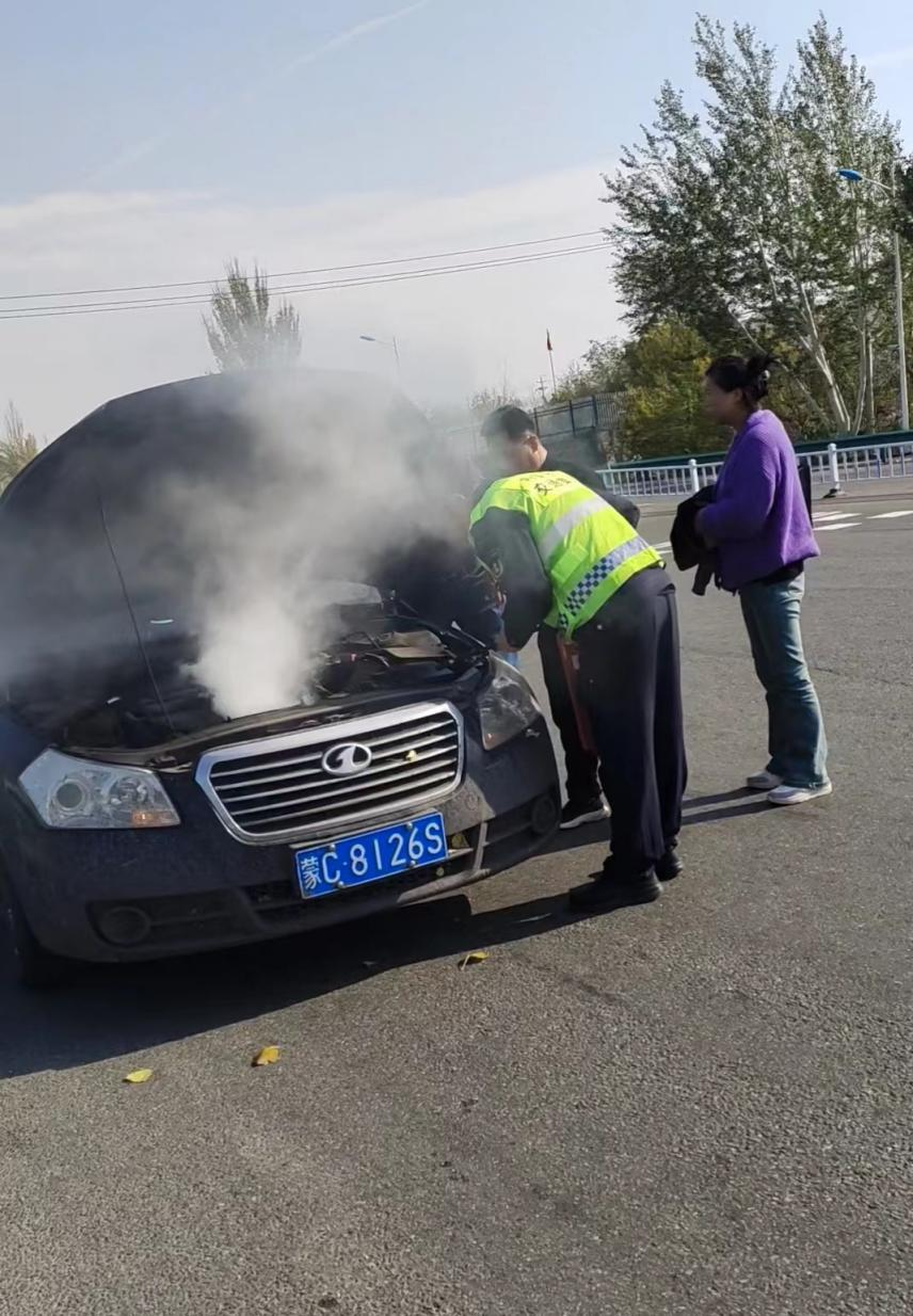 女人与公狍交酡女免费