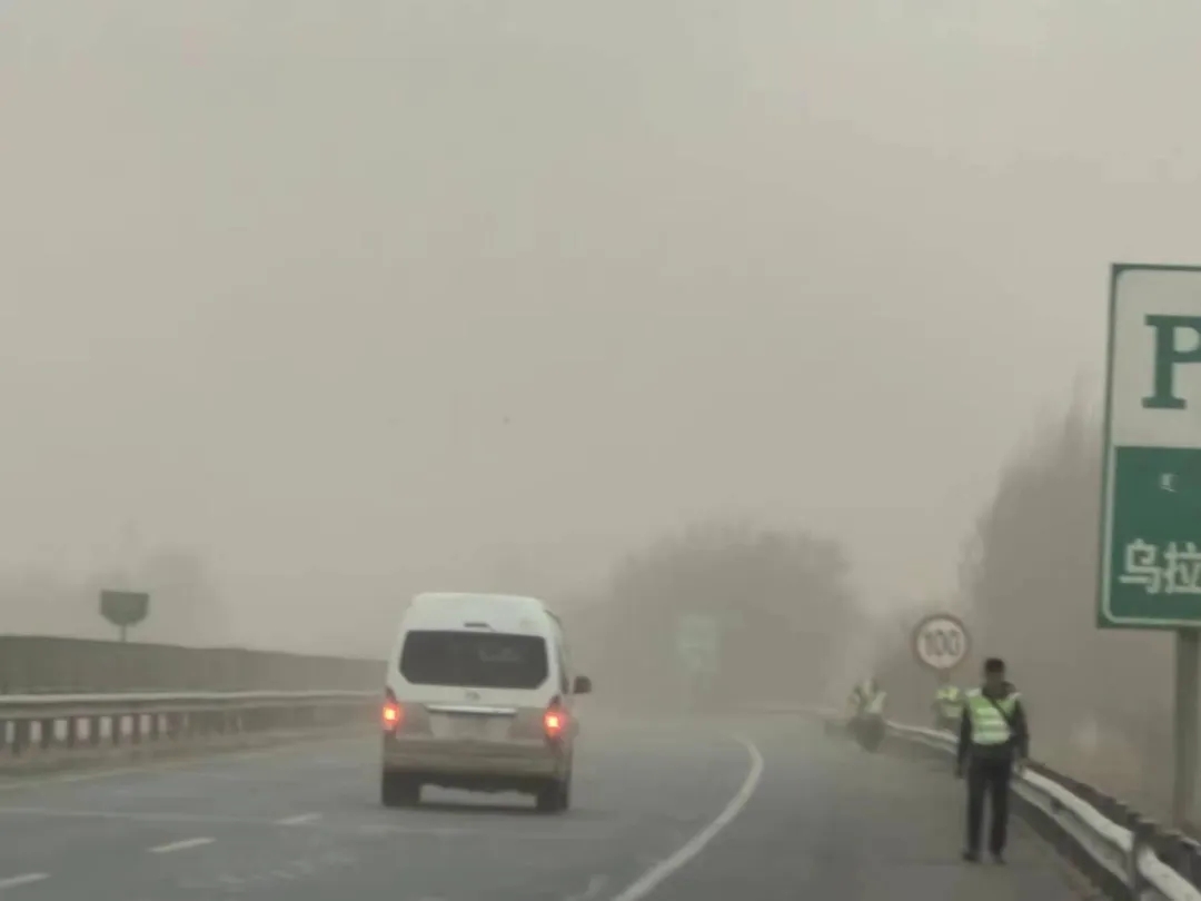 女人与公狍交酡女免费