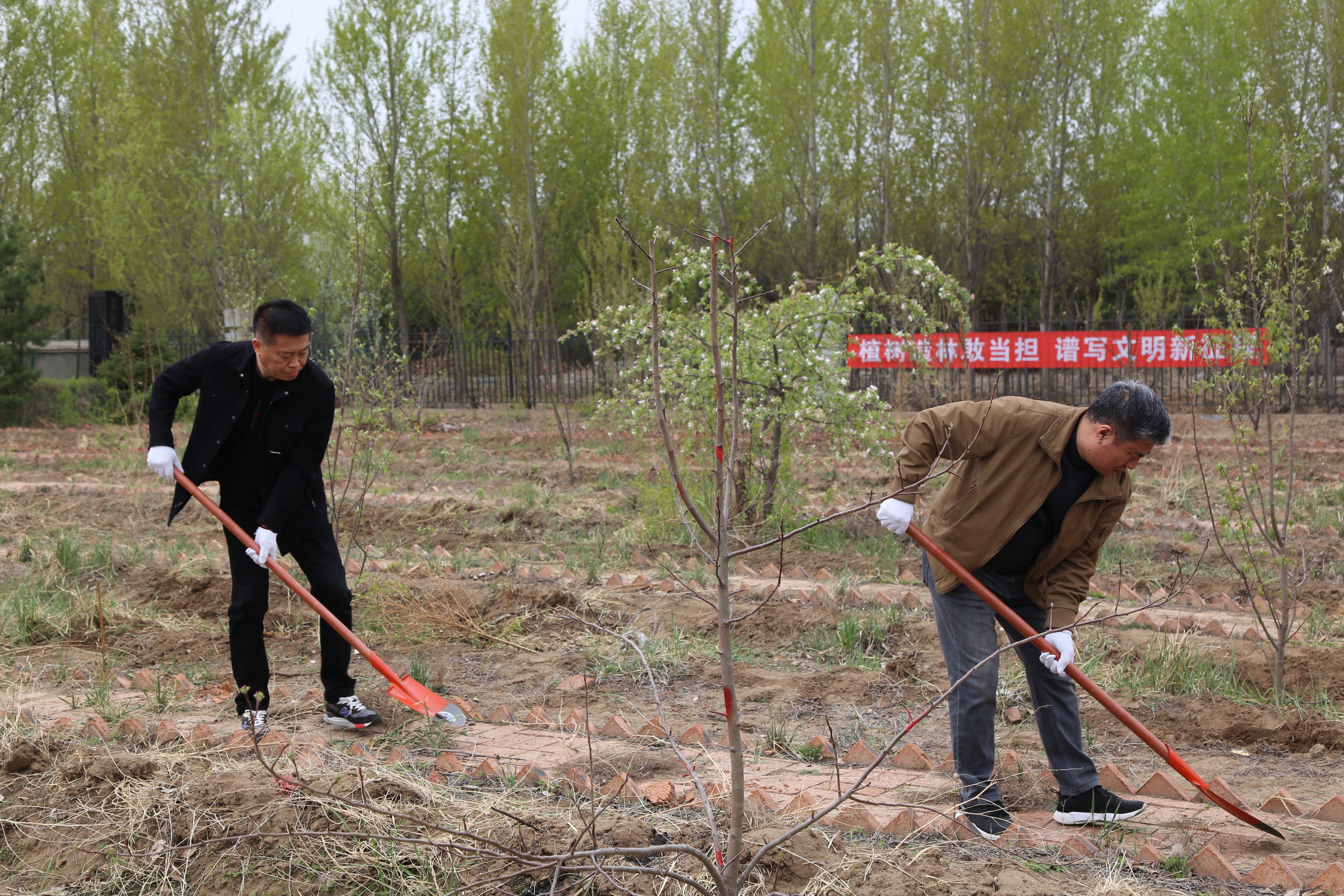 女人与公狍交酡女免费