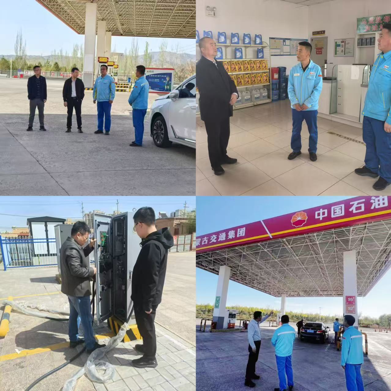 女人与公狍交酡女免费