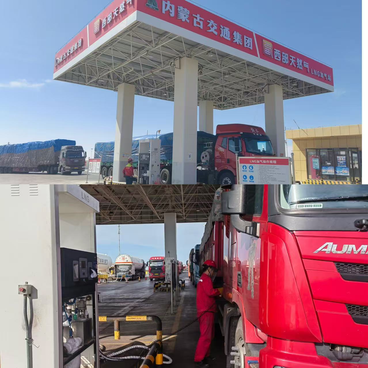 女人与公狍交酡女免费