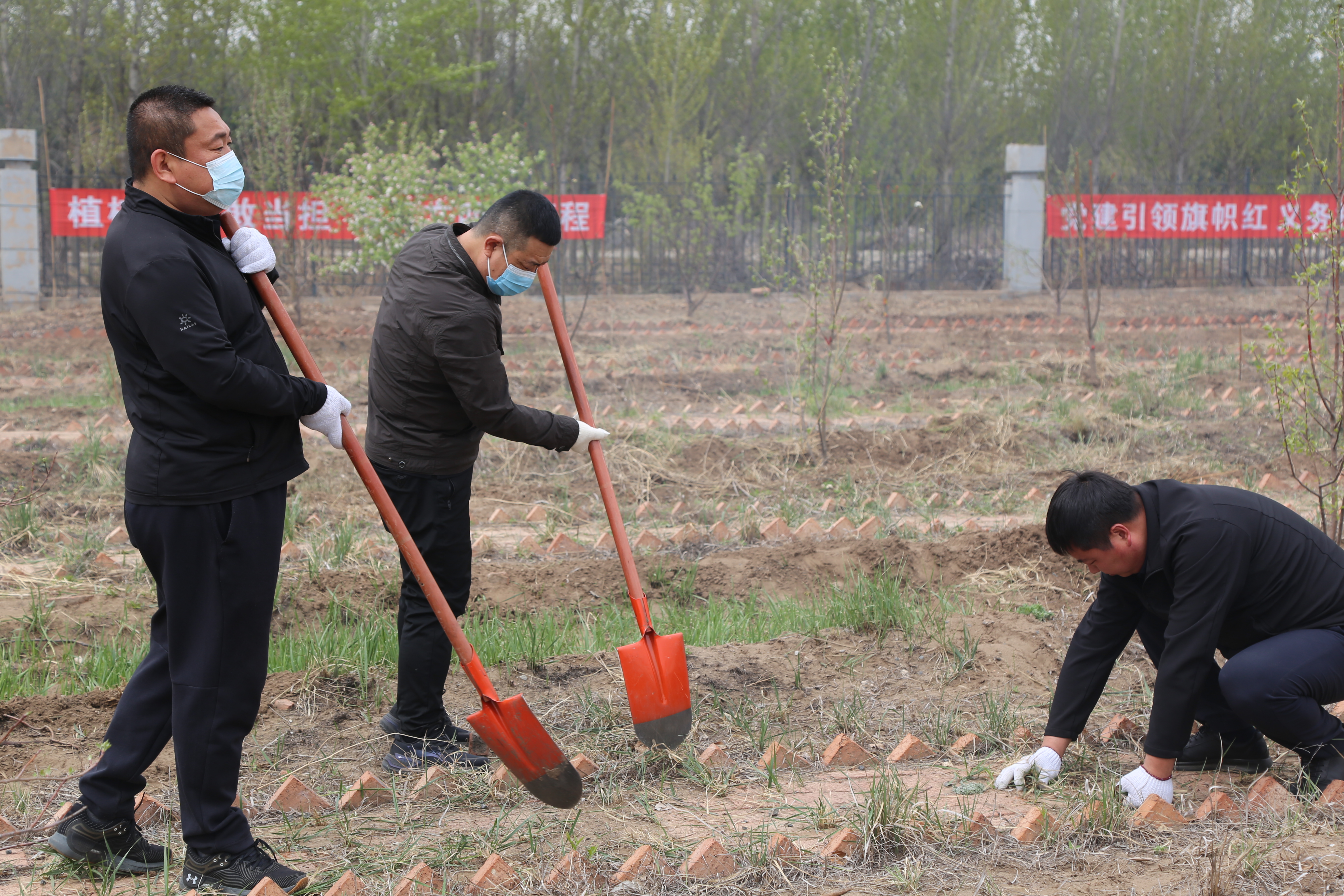 女人与公狍交酡女免费