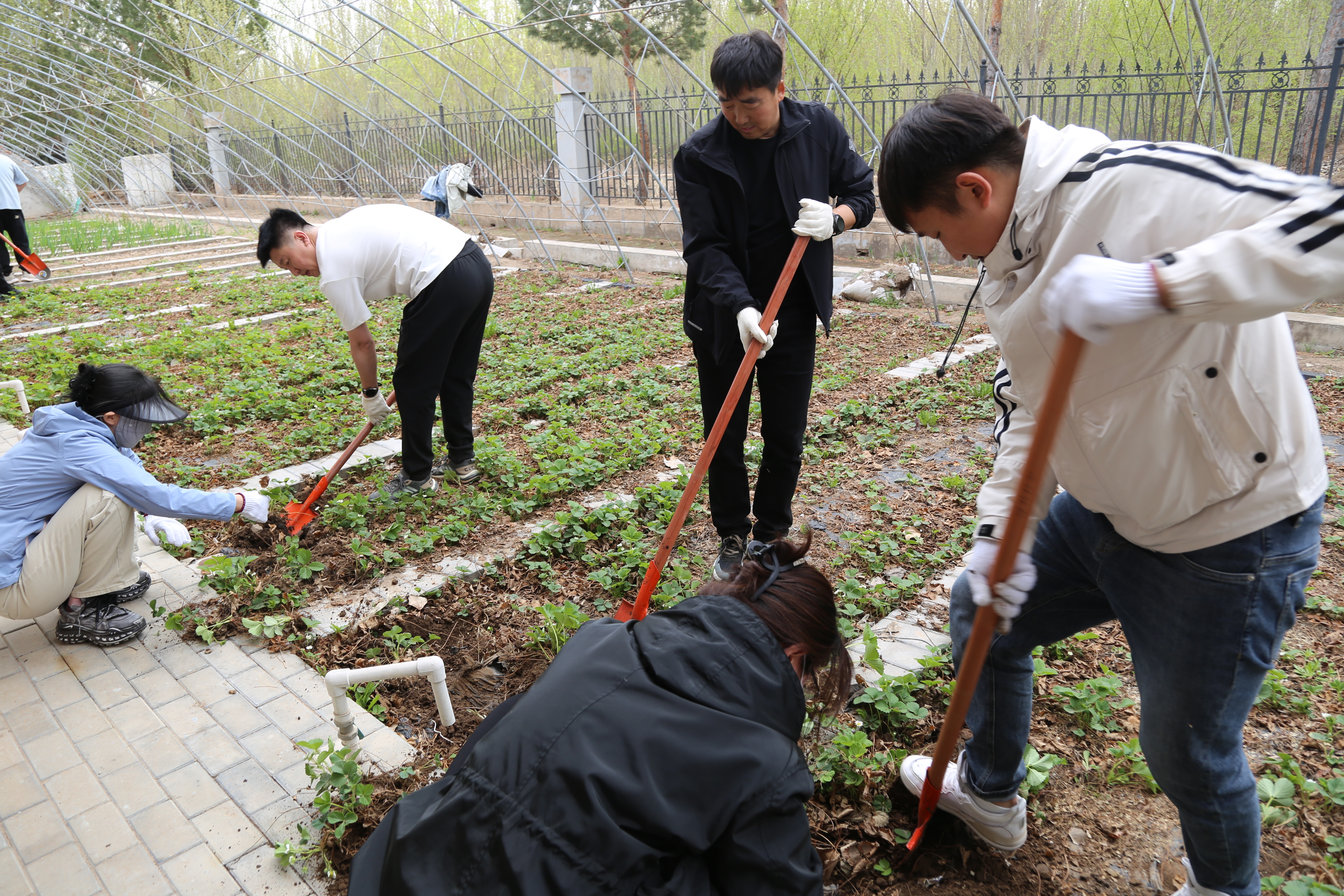 女人与公狍交酡女免费