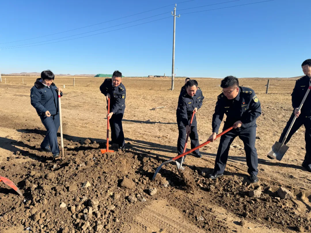 女人与公狍交酡女免费