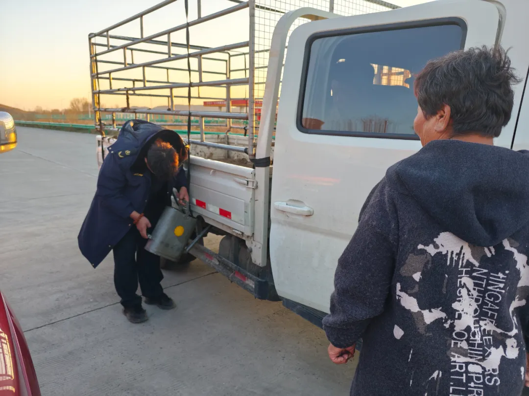 女人与公狍交酡女免费