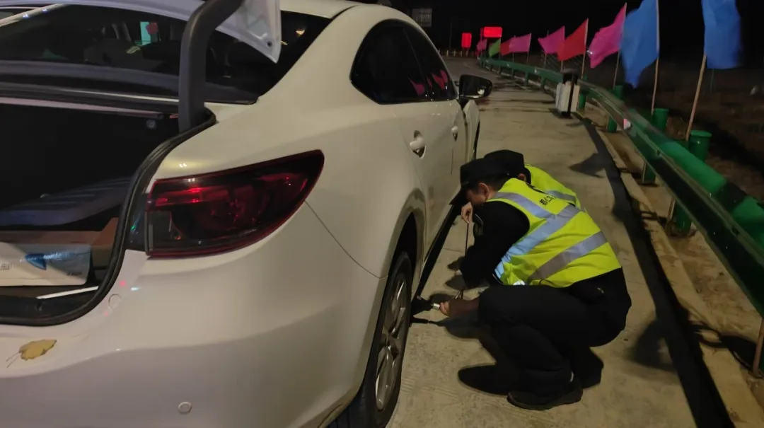 女人与公狍交酡女免费