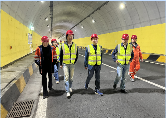 女人与公狍交酡女免费