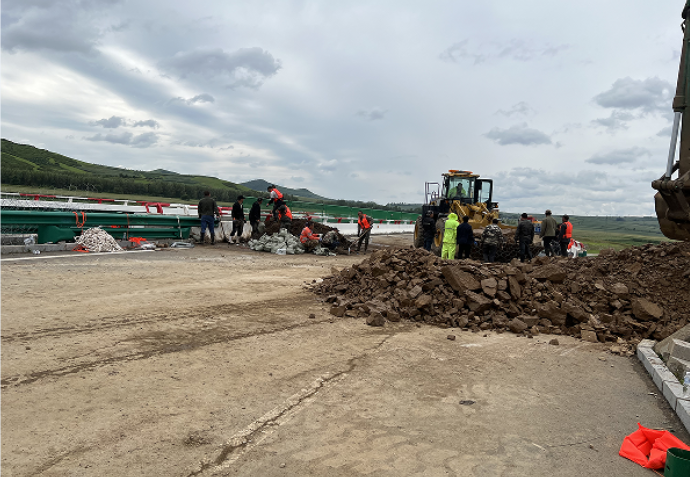 女人与公狍交酡女免费