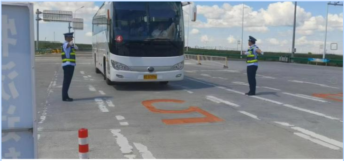 女人与公狍交酡女免费