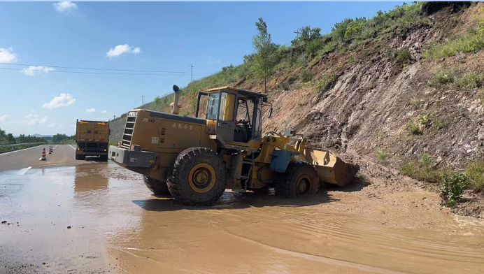女人与公狍交酡女免费