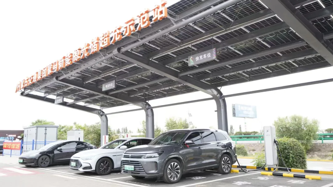 女人与公狍交酡女免费