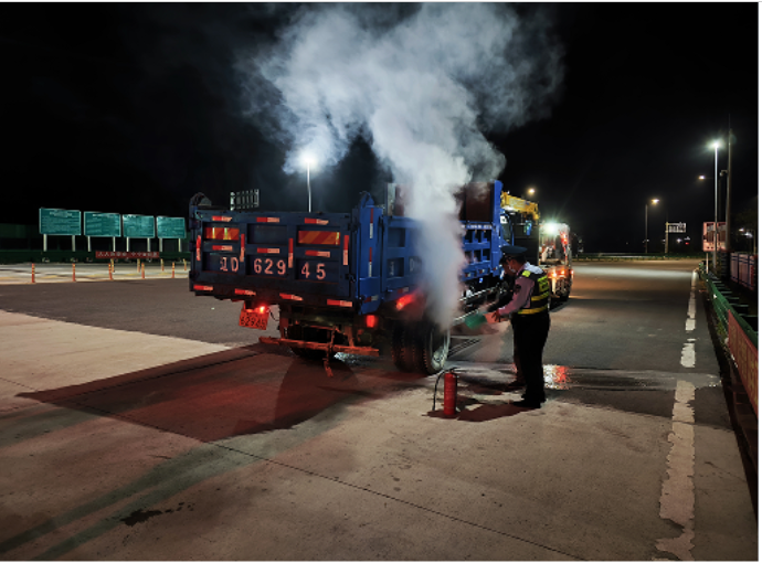 女人与公狍交酡女免费