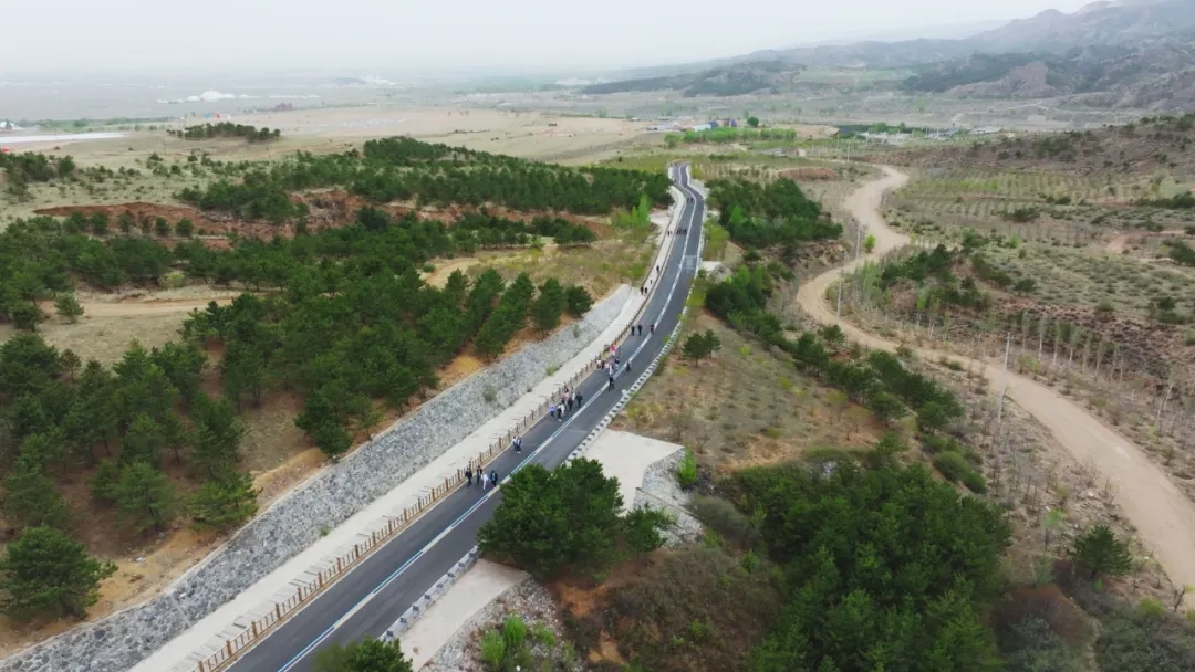 女人与公狍交酡女免费