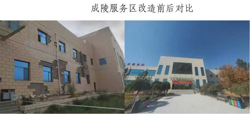 女人与公狍交酡女免费