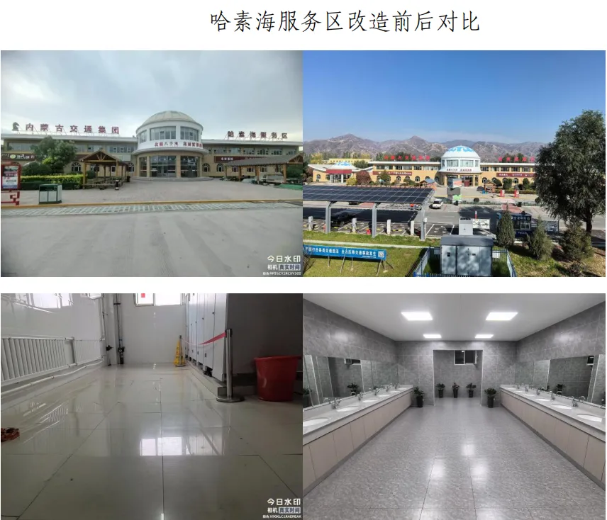 女人与公狍交酡女免费