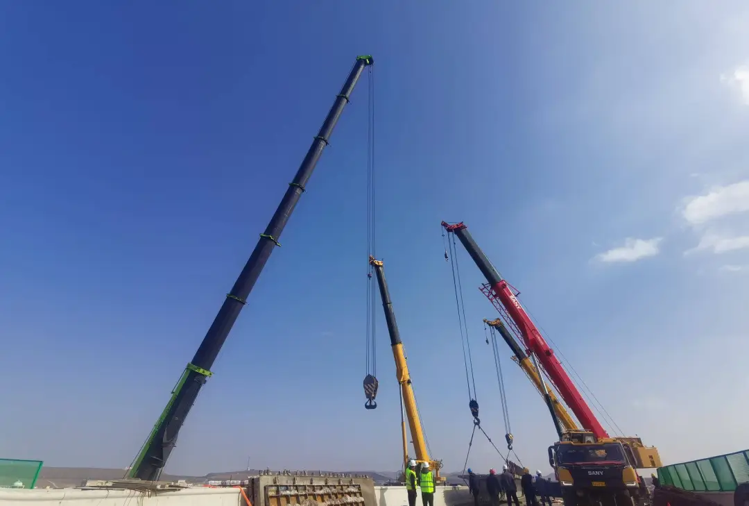 女人与公狍交酡女免费