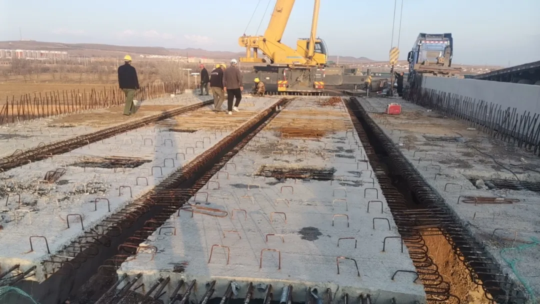 女人与公狍交酡女免费