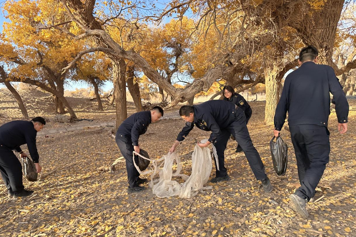女人与公狍交酡女免费