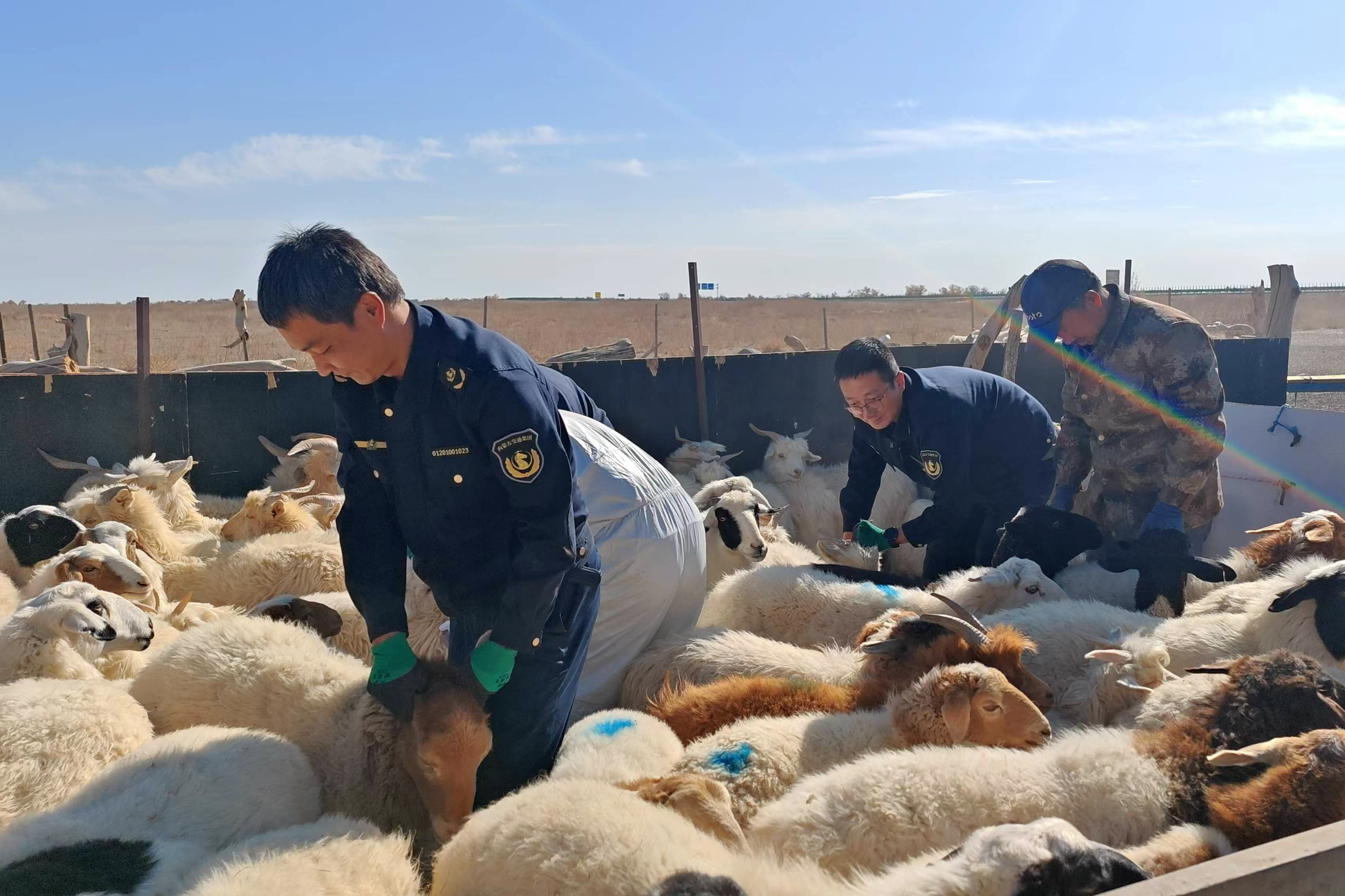 女人与公狍交酡女免费