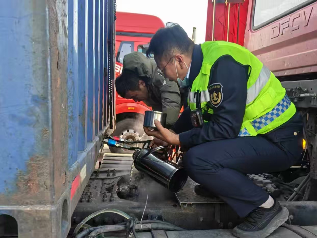 女人与公狍交酡女免费