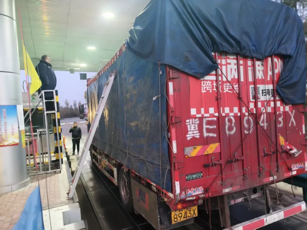 女人与公狍交酡女免费