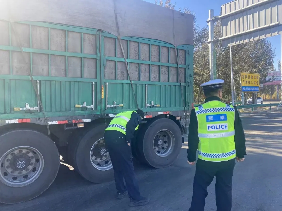 女人与公狍交酡女免费